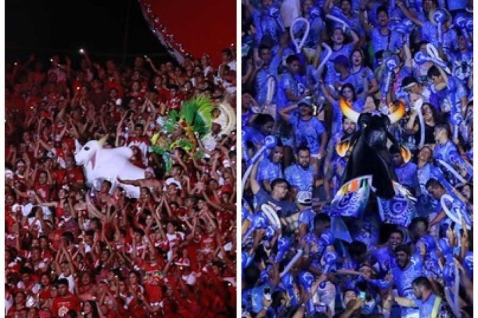 
Boi Caprichoso e boi Garantido (foto: Secom/AM)