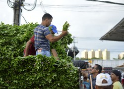 Comerciantes e clientes madrugam no Ceasa para ir at a feira do bredo  (Foto: Ceasa/Divulgao )