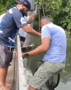 As bicicletas jogadas no Rio Capibaribe foram recuperadas por meio do uso de pesca magn�tica 