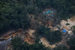 Cinco das 10 áreas indígenas mais pressionadas estão em Roraima (Foto: Bruno Kelly/Amazônia Real)