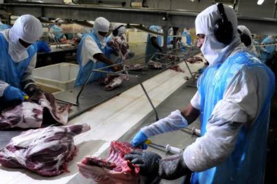 
O setor de 'abate de aves', por exemplo, foi o que mais empregou imigrantes entre 2013 a 2022 (foto: Gustavo Moreno/CB/D.A Press)