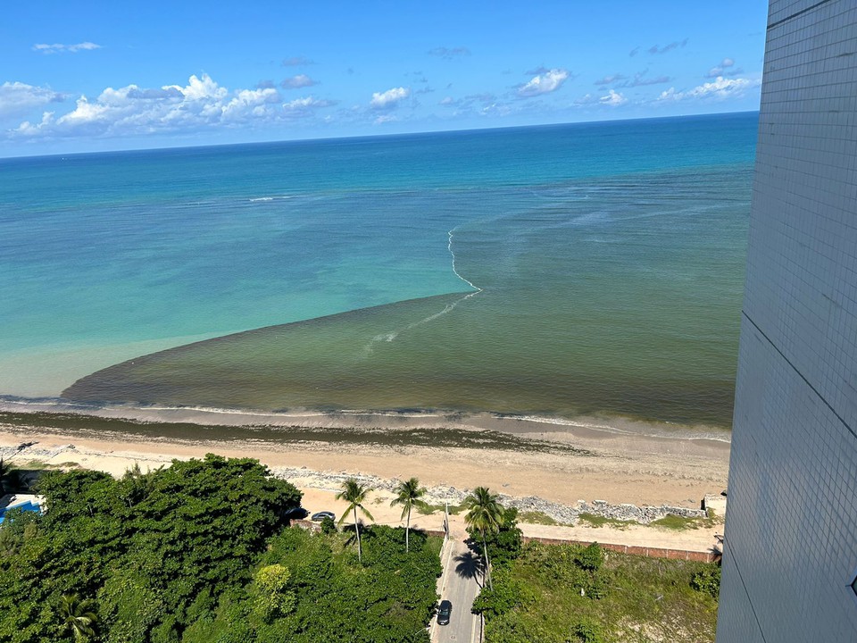 A colorao remete  mar vermelha, que atinge o litoral pernambucano desde janeiro. (Foto: Cortesia)