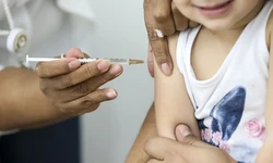 
A Fiocruz está em fase inicial de pesquisa sobre uma nova vacina contra a tuberculose. Ainda não foram feitos testes clínicos