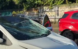 Acidente danifica carro e mata cavalo na Estrada de Aldeia (Foto: Redes Sociais )