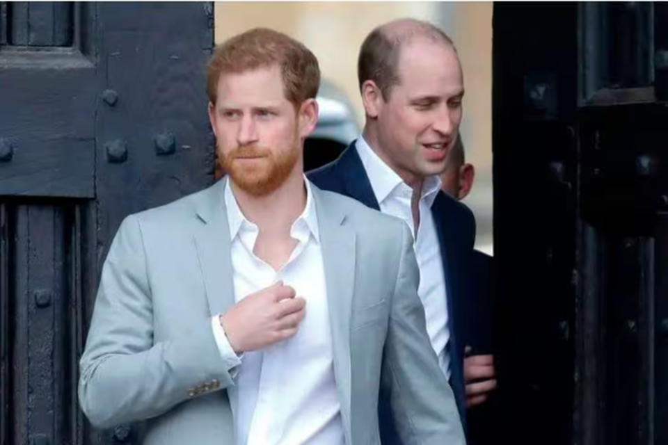 William e Harry no se falam aps a sequncia de revelaes bombsticas sobre a famlia real (Crdito: Tolga Akmen/AFP
)