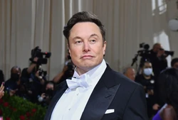 O golpista se passou pelo bilionrio Elon Musk 