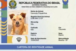 Saiba como funciona o SinPatinhas, novo RG Animal para ces e gatos (foto: Planalto/Divulgao)