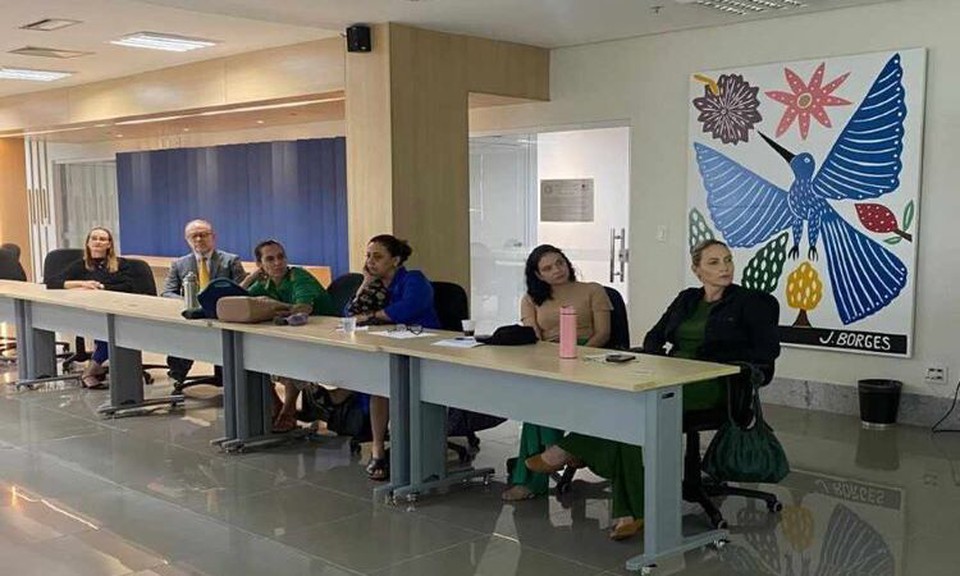 O primeiro encontro para a elaborao deste plano de ao aconteceu no dia 16/04, no auditrio da Coordenadoria da Infncia e Juventude (Foto: Divulgao/TJPE)