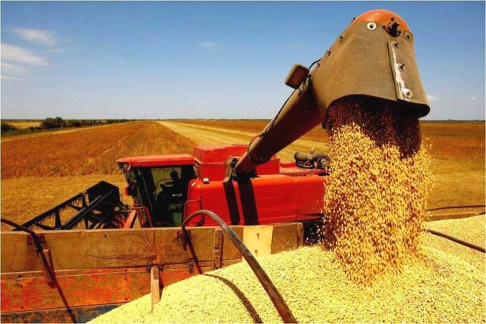 Considerado o principal produto plantado no pas, a soja j atingiu 76,4% da rea cultivada no Brasil, com uma estimativa de produo de 146,52 milhes de toneladas  (foto: Reproduo/Portal Gov.br )