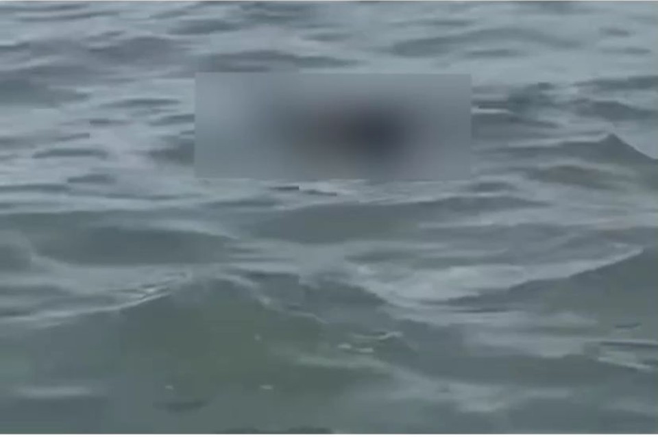 Imagens que circulam nas redes sociais mostram o momento em que o corpo  identificado boiando em alto mar, na Praia de Boa Viagem (Foto: Reproduo/Redes Sociais)