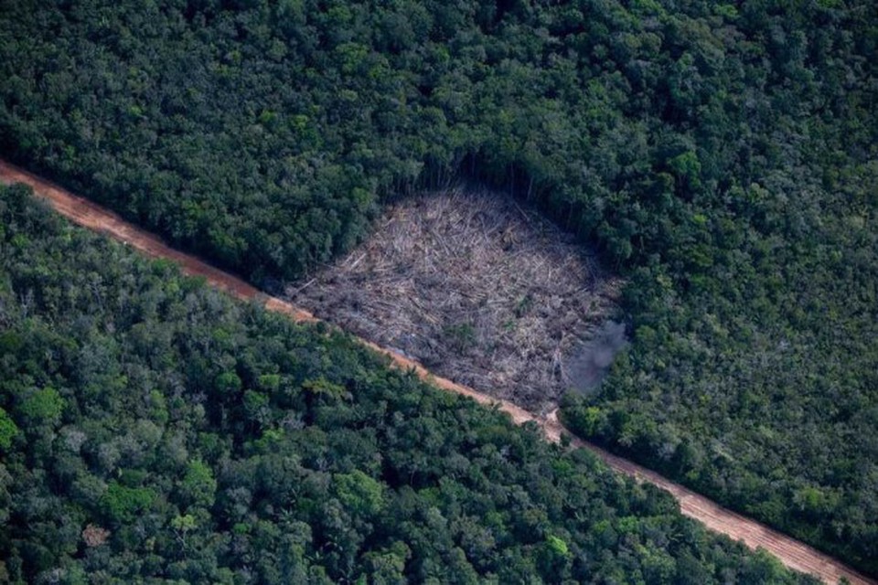 
Destruição dentro de Terras Indígenas e Unidades de Conservação, em grande parte das vezes, ocorre por invasões legais, diz levantamento do Imazon  (foto: Christian Braga/Greenpeace)