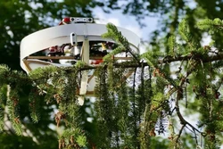 Drone coleta DNA da copa das árvores para monitorar biodiversidade  (Foto: Gottardo Pestalozzi/AFP)