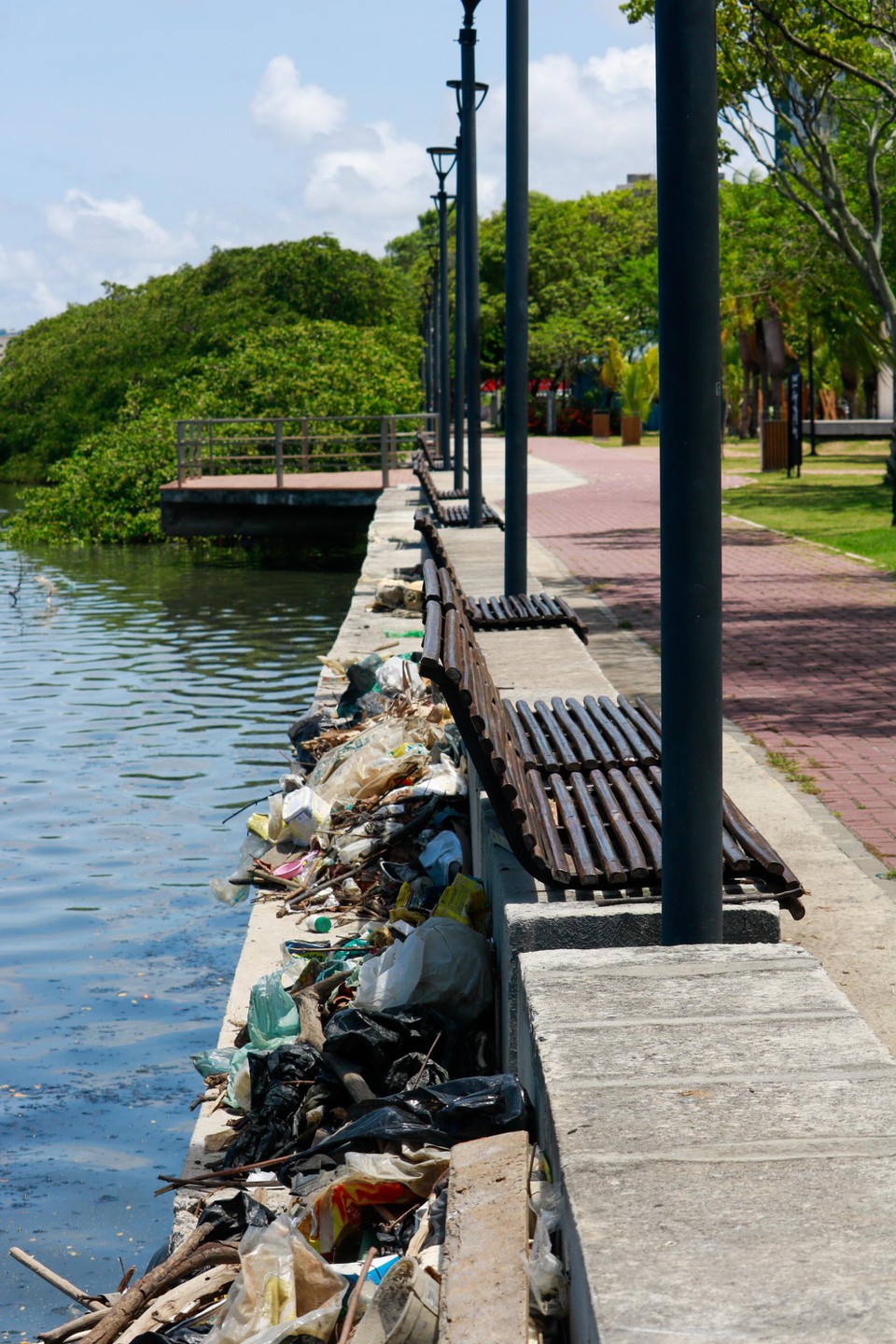 Lixo no cais da Aurora tira o brilho do carto-postal no Recife  (Foto: Marina Torres/DP)