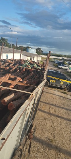 Caminho carregado com toras de madeira em situao ilegal  apreendido no Agreste  (Foto: PRF)