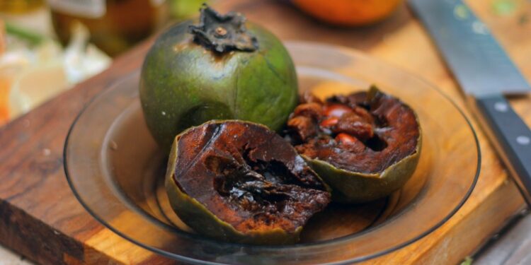 Fruta escura tem sabor comparado ao chocolate e quase ninguém conhece