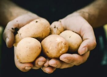 Ele vendia batatas e agora comprou uma grande empresa gaúcha