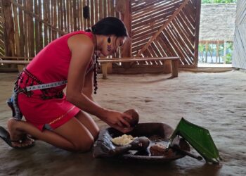 Os alimentos que mantiveram o nome indígena até hoje