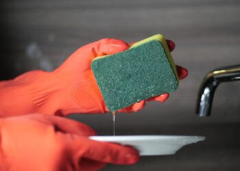 Esponja de cozinha ganha nova função e ajuda a conservar frutas por mais tempo