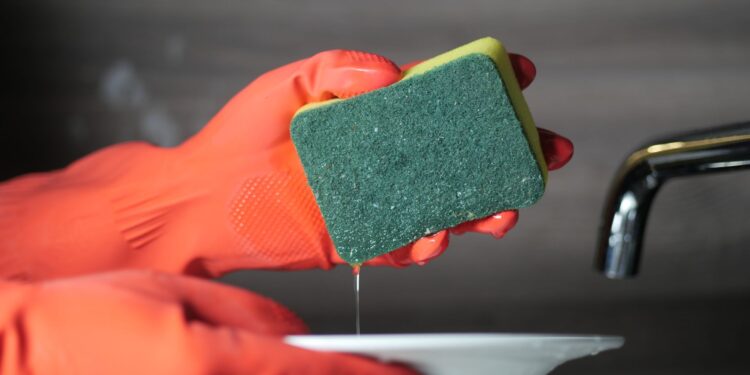 Esponja de cozinha ganha nova função e ajuda a conservar frutas por mais tempo