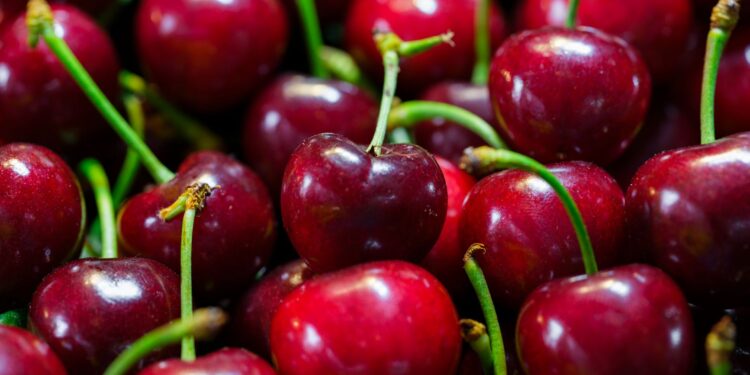 Adeus cereja fruta brasileira nasce