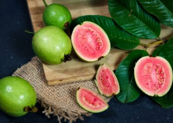 Adeus goiaba fruta conhecida mata