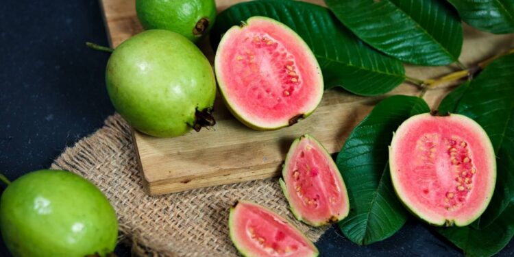Adeus goiaba fruta conhecida mata