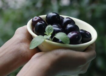 Adeus jabuticaba fruta brasileira casca