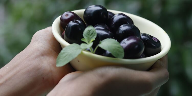 Adeus jabuticaba fruta brasileira casca