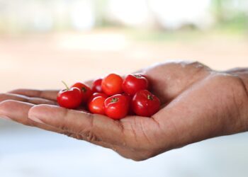 Adeus laranja fruta brasileira chama