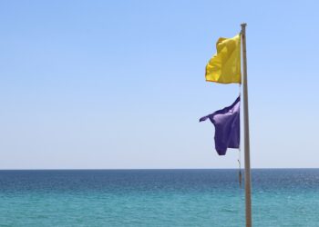Bandeira roxa na praia: qual o significado?