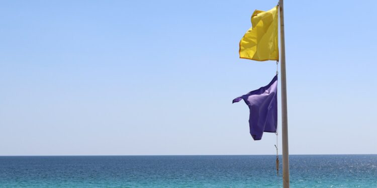 Bandeira roxa na praia: qual o significado?