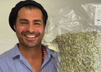 Thiago lacerda vive longe novelas