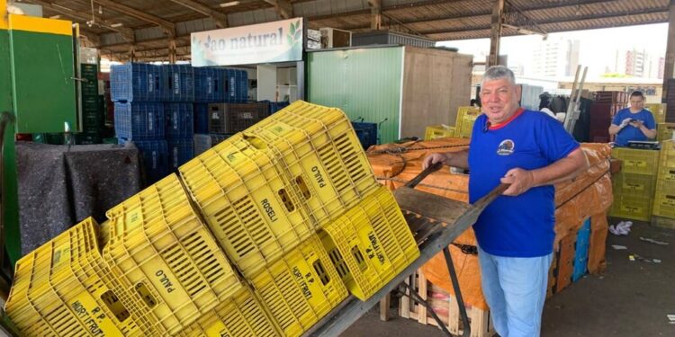 Começou vendendo batata pai perdeu