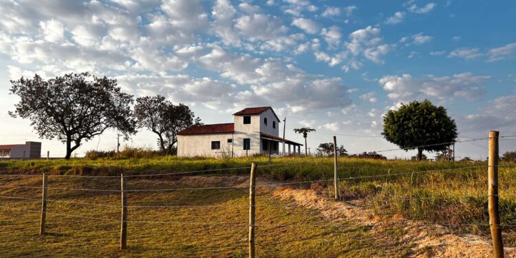 Casal investiu mil construir casa