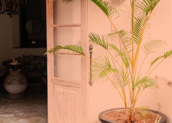 Coloque planta perto porta cozinha