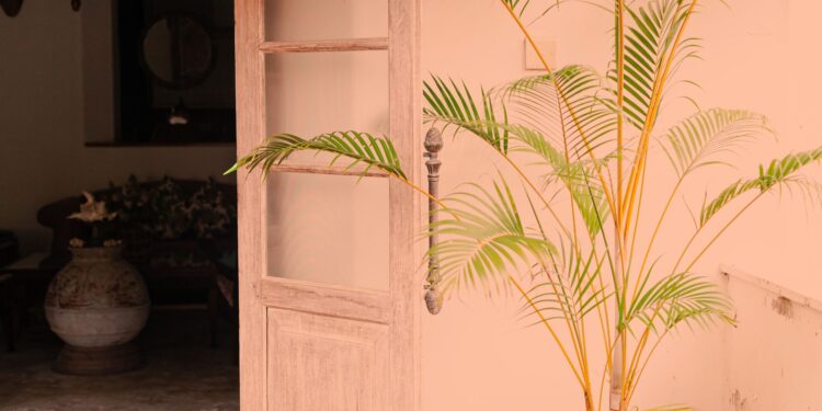 Coloque planta perto porta cozinha