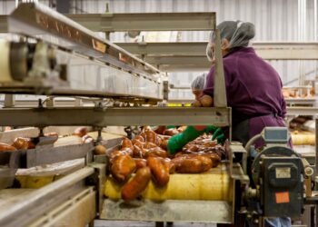 Fornecia alimentos maiores redes supermercados