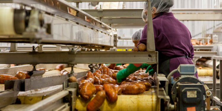 Fornecia alimentos maiores redes supermercados
