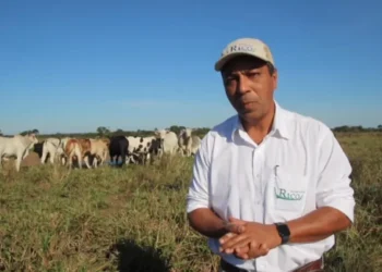 Brilhou brasileira hoje passa administrando