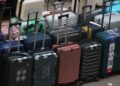 Especialistas viagens recomendam colocar folha