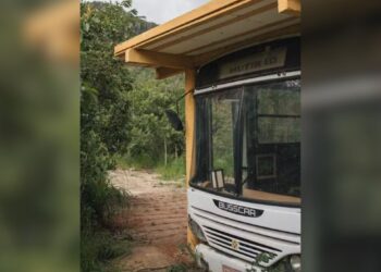 Camila pitanga deixou rio transformou