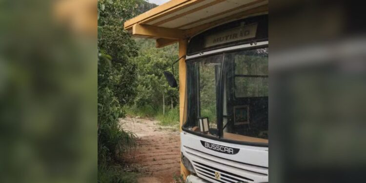 Camila pitanga deixou rio transformou