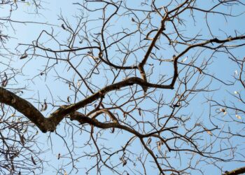 Frio embora cidades registrar temperaturas