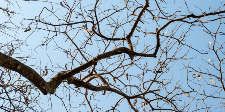 Frio embora cidades registrar temperaturas
