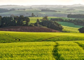 Maior cidades brasileiras fazenda estradas