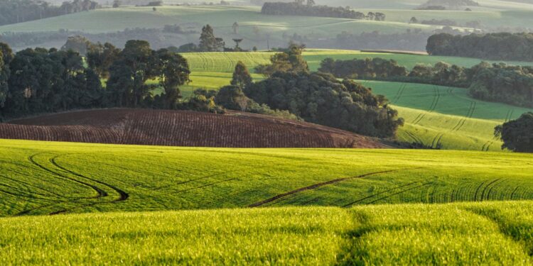Maior cidades brasileiras fazenda estradas