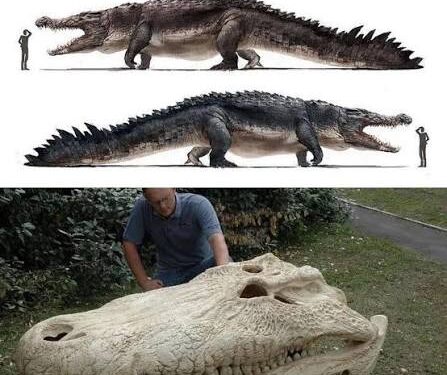 Maior carro conheça animal brasileiro