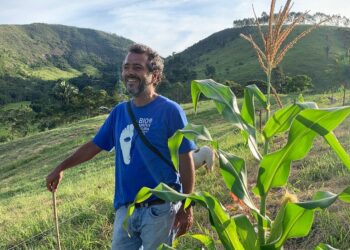 Marcos palmeira mantém quase fazenda