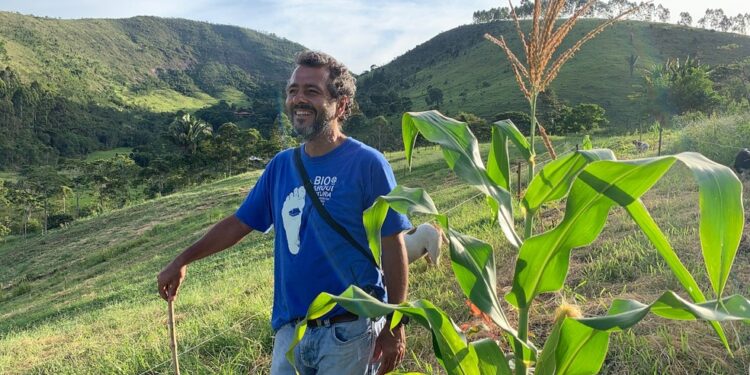 Marcos palmeira mantém quase fazenda