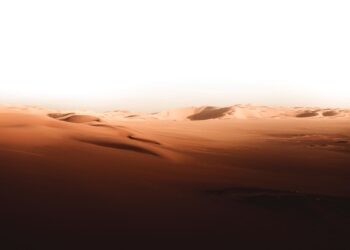 Deserto chegou bilhões árvores morreram
